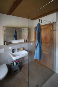 La salle de bains est pourvue d'un lavabo et d'une douche en verre. dans l'établissement Pension und Falknerei an der alten Schmiede, à Bernstadt