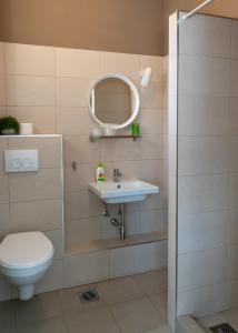 a bathroom with a toilet and a sink and a mirror at Guest House Family in Kanjiža