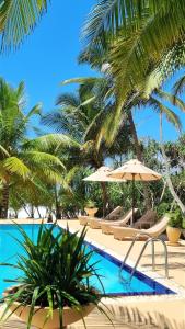 una piscina con sillas, sombrilla y palmeras en Golden Beach Paradise, en Tangalle