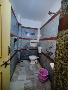 a bathroom with a toilet and a sink at Shining Fort in Jaisalmer