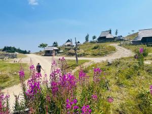 un hombre caminando por un camino de tierra con flores rosas en Velika Planina Koča Kekec, en Stahovica