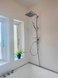 La salle de bains blanche est pourvue d'une douche et d'une plante. dans l'établissement Villa Apartment near City Centre, à Bronshoj