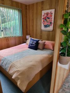 uma cama num quarto de madeira com uma planta em Queenstown Copper Country Cabins em Queenstown