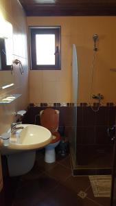 a bathroom with a toilet and a sink and a shower at Вили Болярка in Kŭrdzhali +30 photos