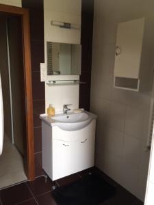 een kleine badkamer met een wastafel en een spiegel bij Thaly 5 in Debrecen