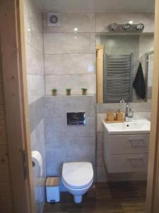 a small bathroom with a toilet and a sink at NADMORSKI RESORT in Niechorze