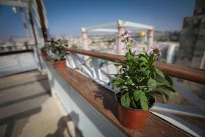 deux plantes en pot sur une balustrade sur un balcon dans l'établissement Western Wall Luxury House, à Jérusalem