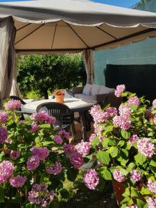 Vonkajšia záhrada v ubytovaní Bed & Breakfast La Tana dei Sognatori