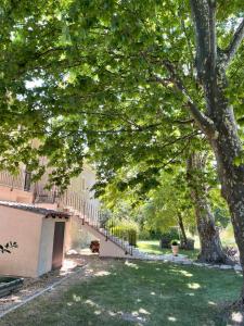 a tree with a staircase in front of a building at La Bri...Gite in LʼIsle-sur-la-Sorgue