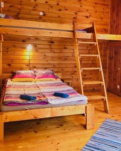 a bedroom with a bunk bed and a ladder at Kempings Raganas slota in Vārve