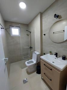 La salle de bains est pourvue de toilettes, d'un lavabo et d'une douche. dans l'établissement Nautica apartments&studios, à Pechtani