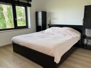 a bedroom with a bed in a room with two windows at Bij De Kei Appelscha in Appelscha