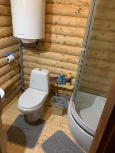 a bathroom with a toilet and a shower at Mont Blanc Family Sporthotel in Vyshka +106 photos