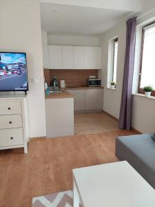 uma sala de estar com uma cozinha e uma televisão em Apartamenty Zdrojowe em Nałęczów