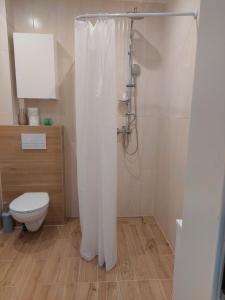 uma casa de banho com um WC e uma cortina de chuveiro em Apartamenty Zdrojowe em Nałęczów