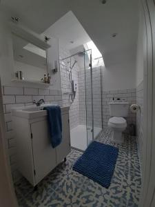 a bathroom with a shower and a sink and a toilet at Cosycot in Gorran Haven