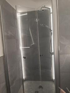 a shower with a glass door in a bathroom at Elbschlösschen Refugium in Pirna