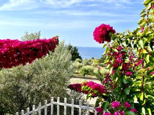Giardino di Elysium Hotel