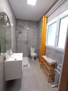 a bathroom with a sink and a shower and a toilet at Appartement cosy au coeur de la ville d'Auch in Auch