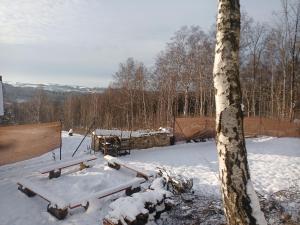 蒂薩的住宿－Fox House Tisá / Rájec，雪覆盖的院子,有桌子和一棵树