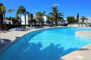 a large swimming pool with palm trees in a resort at Sao Rafael Beach Apartment - By Dalma Portuguesa in Albufeira