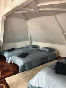 a bedroom with two beds in a room at Maison Jeanne d’Arc in Mennetou-sur-Cher