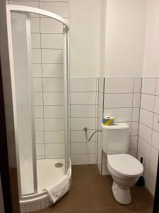 uma casa de banho com um WC e um chuveiro em Hotel Sport Mlada Boleslav em Mladá Boleslav