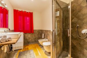 a bathroom with a shower and a toilet and a sink at Maison La Louche - Courmayeur in Courmayeur