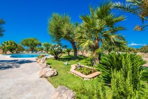 a yard with a swimming pool and palm trees at Ideal Property Mallorca - Vernissa in Santa Margalida