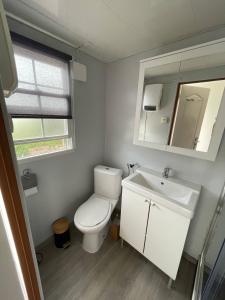 a bathroom with a toilet and a sink and a mirror at 08, ontdek het bosrijke Oisterwijk met het grootste terras van Nederland! in Oisterwijk