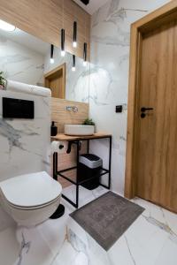La salle de bains est pourvue de toilettes et d'un lavabo. dans l'établissement Jaśmin Apartamenty, à Krynica-Zdrój