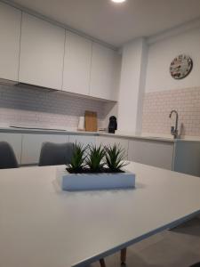 Kuchnia lub aneks kuchenny w obiekcie Panoramic Suite Beach
