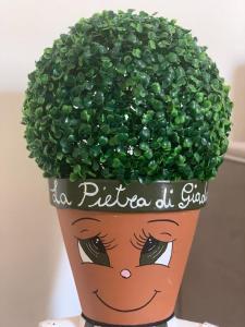 een plant in een pot gevuld met groene planten bij La Pietra di Giada in Siracusa