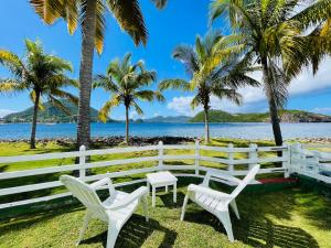 two white chairs and palm trees on the beach at Blue Lagoon, cottage les pieds dans l eau in Terre-de-Haut