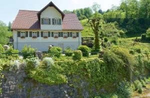 Zahrada ubytování Hotel - Gasthof Blume
