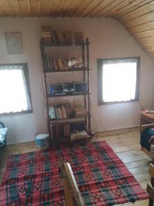 a living room with a book shelf and a rug at Apartmani Planinska kuća, Jagodnja in Krupanj