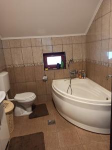 een badkamer met een bad en een toilet en een televisie bij Apartman Vukan in Bajina Bašta