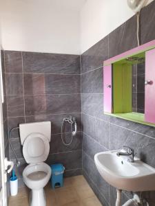 a bathroom with a toilet and a sink and a mirror at Room with amazing sea view in Himare