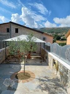 Un árbol en un patio con un edificio. en Il Colle Casa Vacanze, en Macchiagodena
