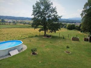 Bazén v ubytovaní HAUS SONBERG mit Garten, Pool, Fasssauna, semi detached house with garden alebo v jeho blízkosti