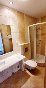 y baño con aseo, lavabo y ducha. en Hotel Zajazd Kultury, dawniej Pocztowy, en Zielona Góra