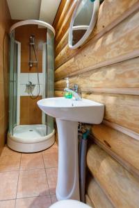 a bathroom with a sink and a shower at Viesu nams “Dimantu ferma” in Ikšķile