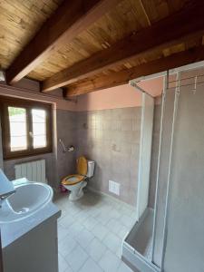 a bathroom with a toilet and a shower and a sink at Maison familiale en Périgord (Billard+Cheminée) 