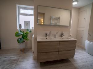 a bathroom with a sink and a mirror and a plant at Pass the Keys Charming Central Apartment Steps from Nottingham's Best in Nottingham +72 photos