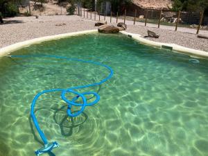 un tuyau bleu dans un bassin d'eau dans l'établissement Masia La Clariana, à Castelltallat