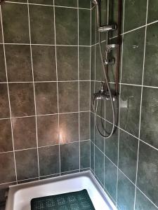 a bathroom with a shower with a bath tub at Eszter Panzió in Praid