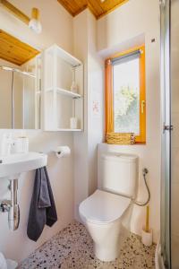 baño con aseo y lavabo y ventana en Dom pod Klonem, en Jantar