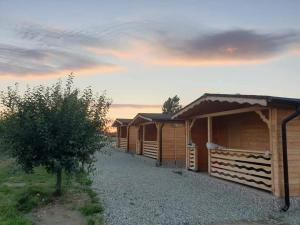una fila de cabañas de madera en un campo con un árbol en La căbănute, en Sibiu