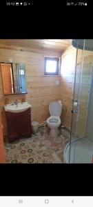 a bathroom with a toilet and a sink and a shower at La căbănute in Sibiu