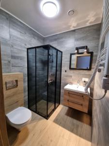 W łazience znajduje się prysznic, toaleta i umywalka. w obiekcie Pokoje pod Wietrznią w Kielcach